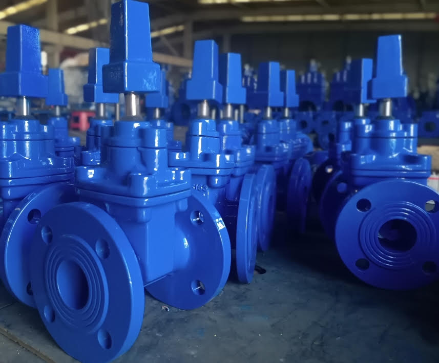 Gate Valve - 2